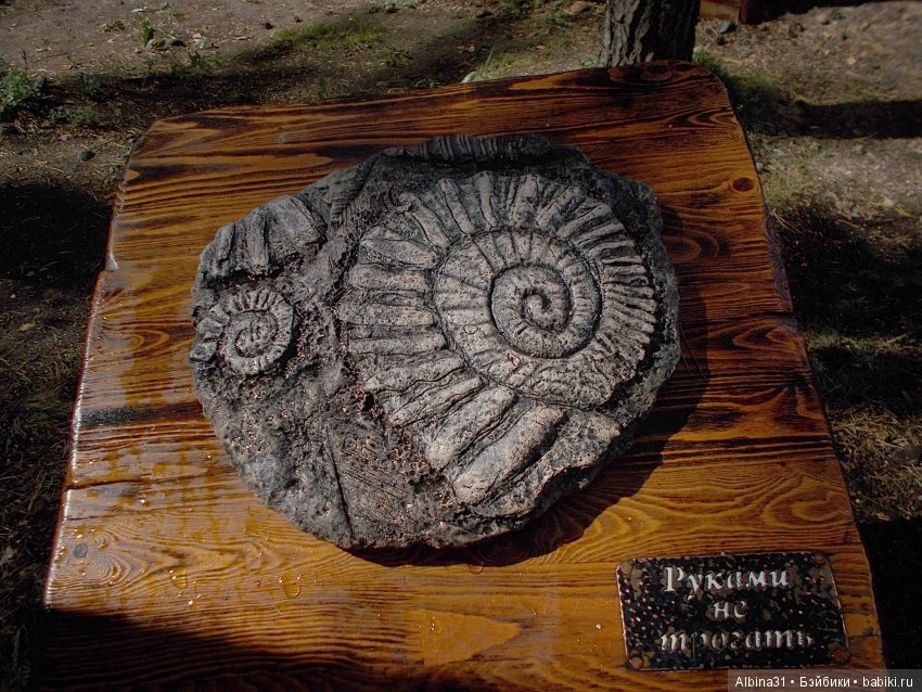 Где то... В тёмно синем лесу