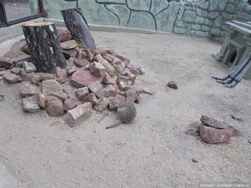 ... В тёмно синем лесу (продолжение) | Бэйбики ... В тёмно синем лесу (продолжение) (фото 4)