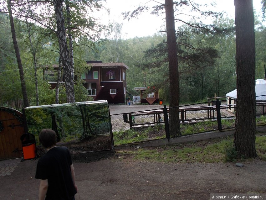 ... В тёмно синем лесу (продолжение) | Бэйбики ... В тёмно синем лесу (продолжение)