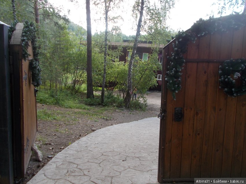 ... В тёмно синем лесу (продолжение) | Бэйбики ... В тёмно синем лесу (продолжение)