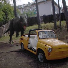 ... В тёмно синем лесу (продолжение)