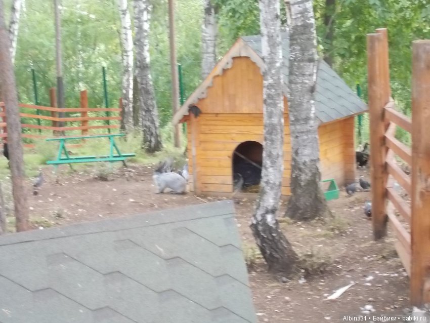 В тёмно синем лесу. Окончание (фото 9)