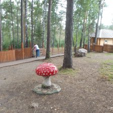 В тёмно синем лесу. Окончание