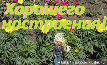 Переделка "ложечки дёгтя" (фото 4)