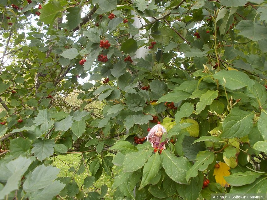 Городские зарисовки. Сентябрь