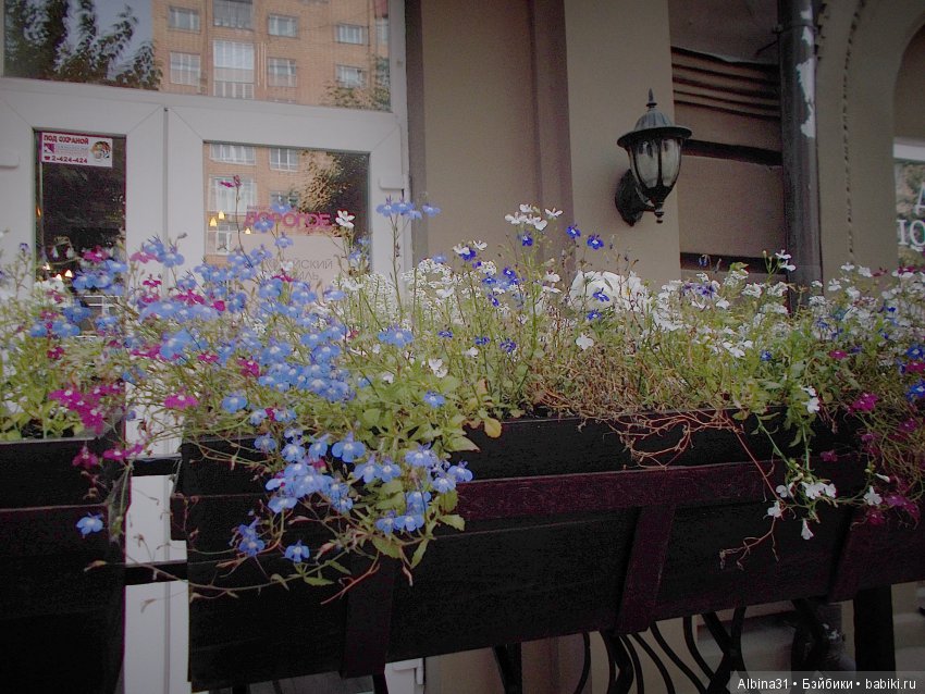 Городские зарисовки. Сентябрь