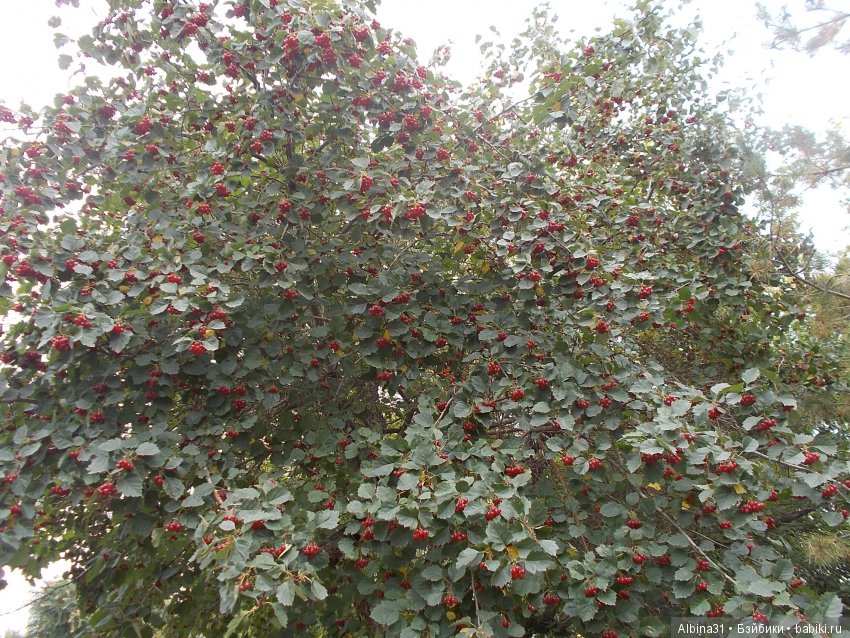 Городские зарисовки. Сентябрь