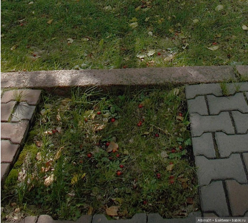 Городские зарисовки. Сентябрь