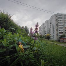 Городские зарисовки. Сентябрь