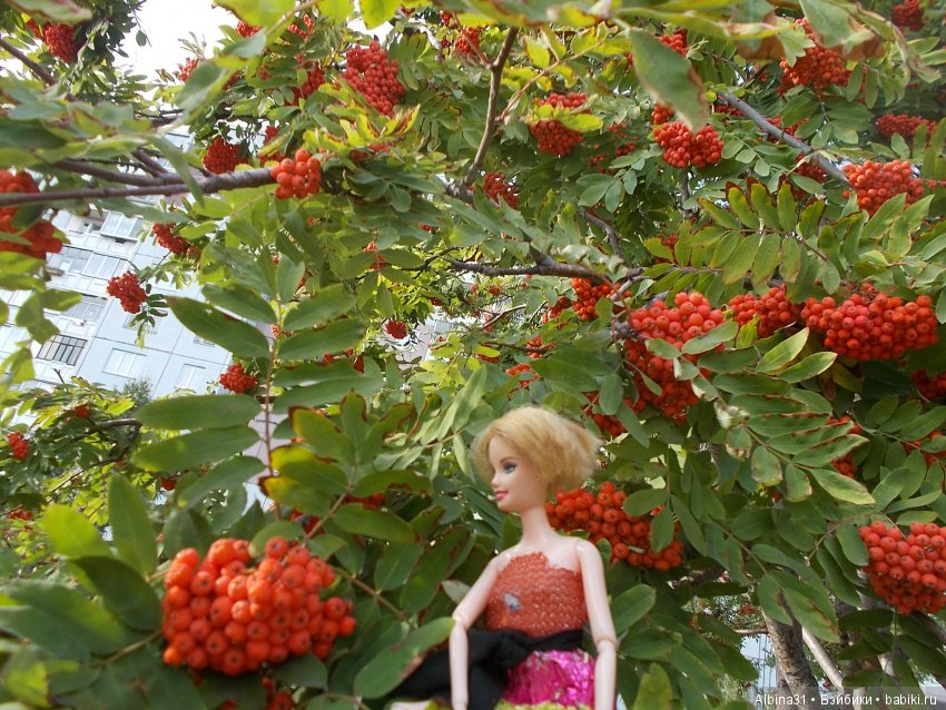 Городские зарисовки. Сентябрь