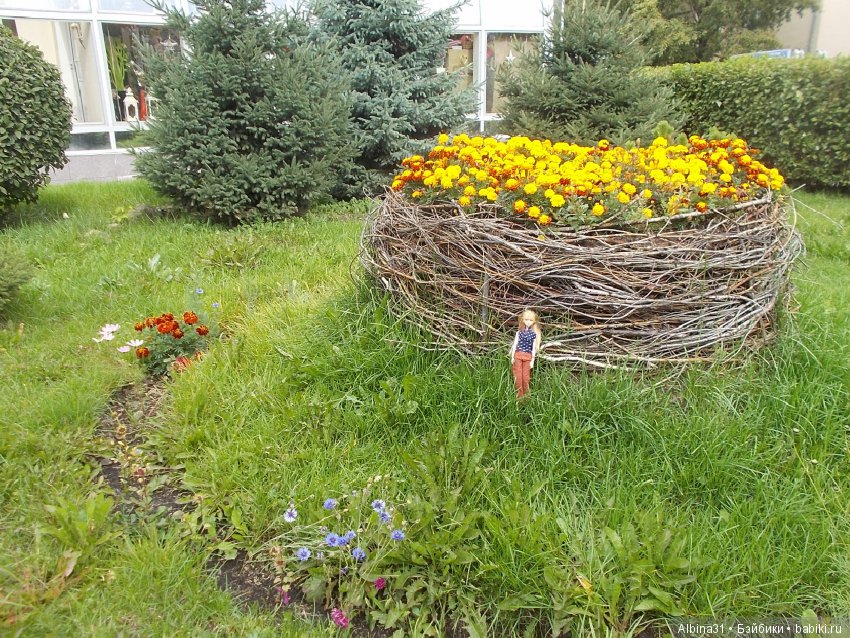 Городские зарисовки. Сентябрь