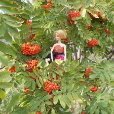 Городские зарисовки. Сентябрь