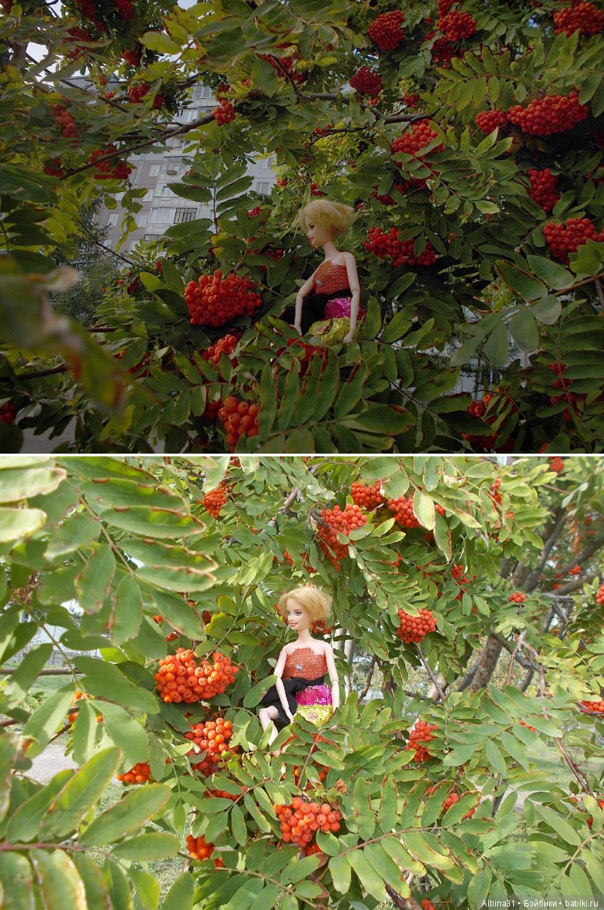 Городские зарисовки. Сентябрь (фото 10)