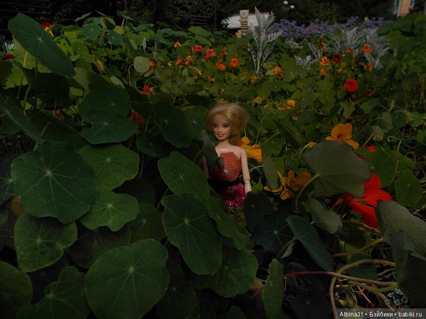 Городские зарисовки. Сентябрь