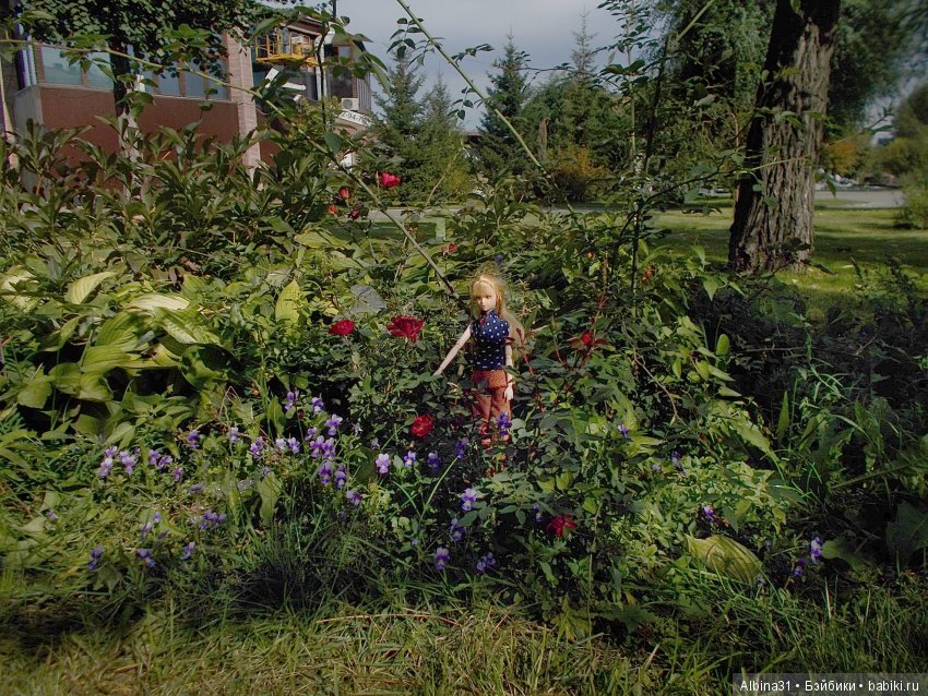В парк — Болталка и разговоры обо всем: жизнь