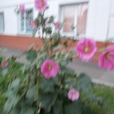 Городские зарисовки. Осень. Правый берег