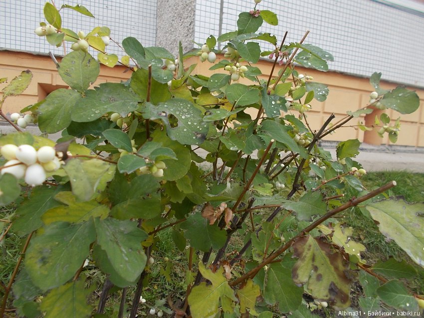 Городские зарисовки. Октябрь (продолжение)