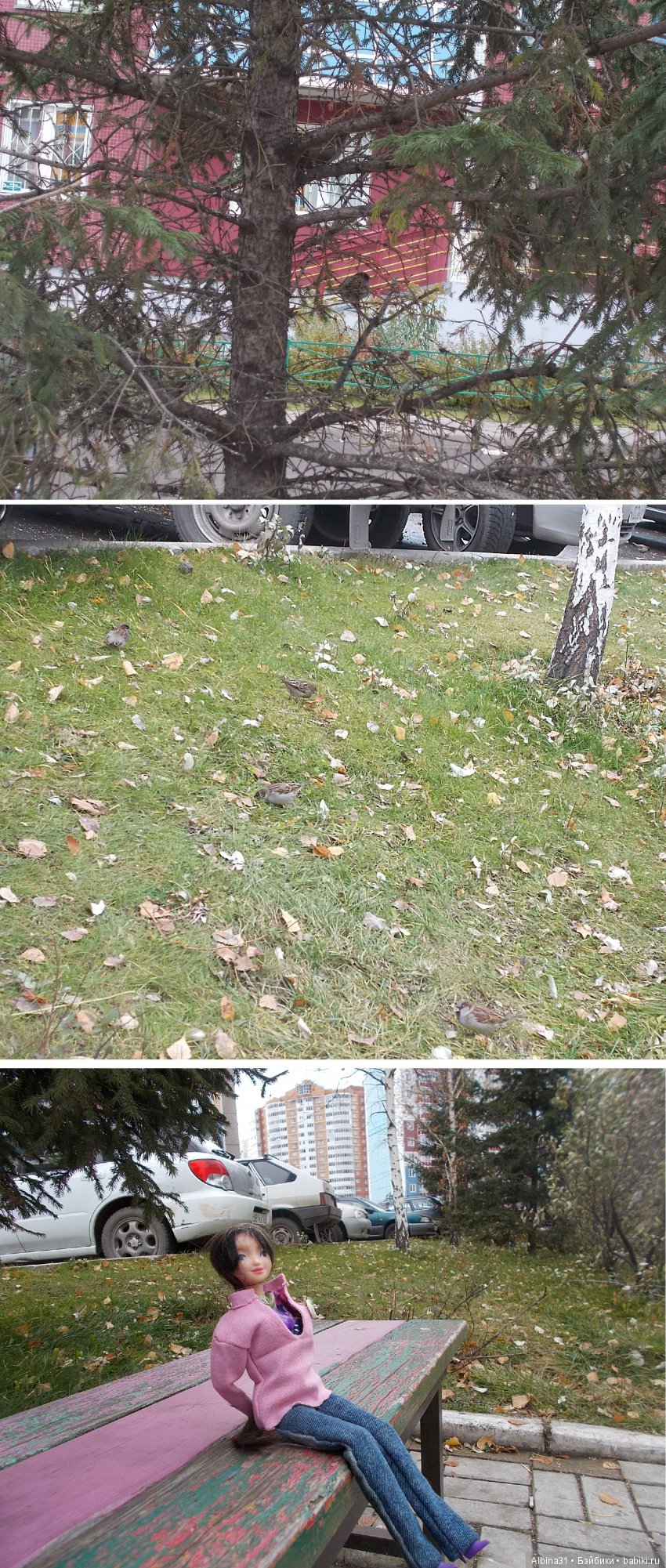 Городские зарисовки. Октябрь (продолжение)