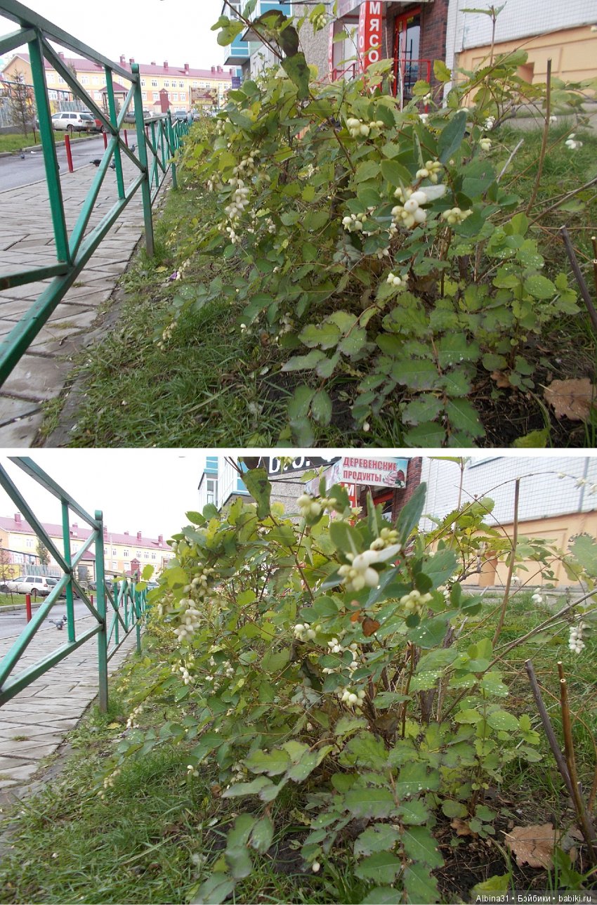 Городские зарисовки. Октябрь (продолжение)