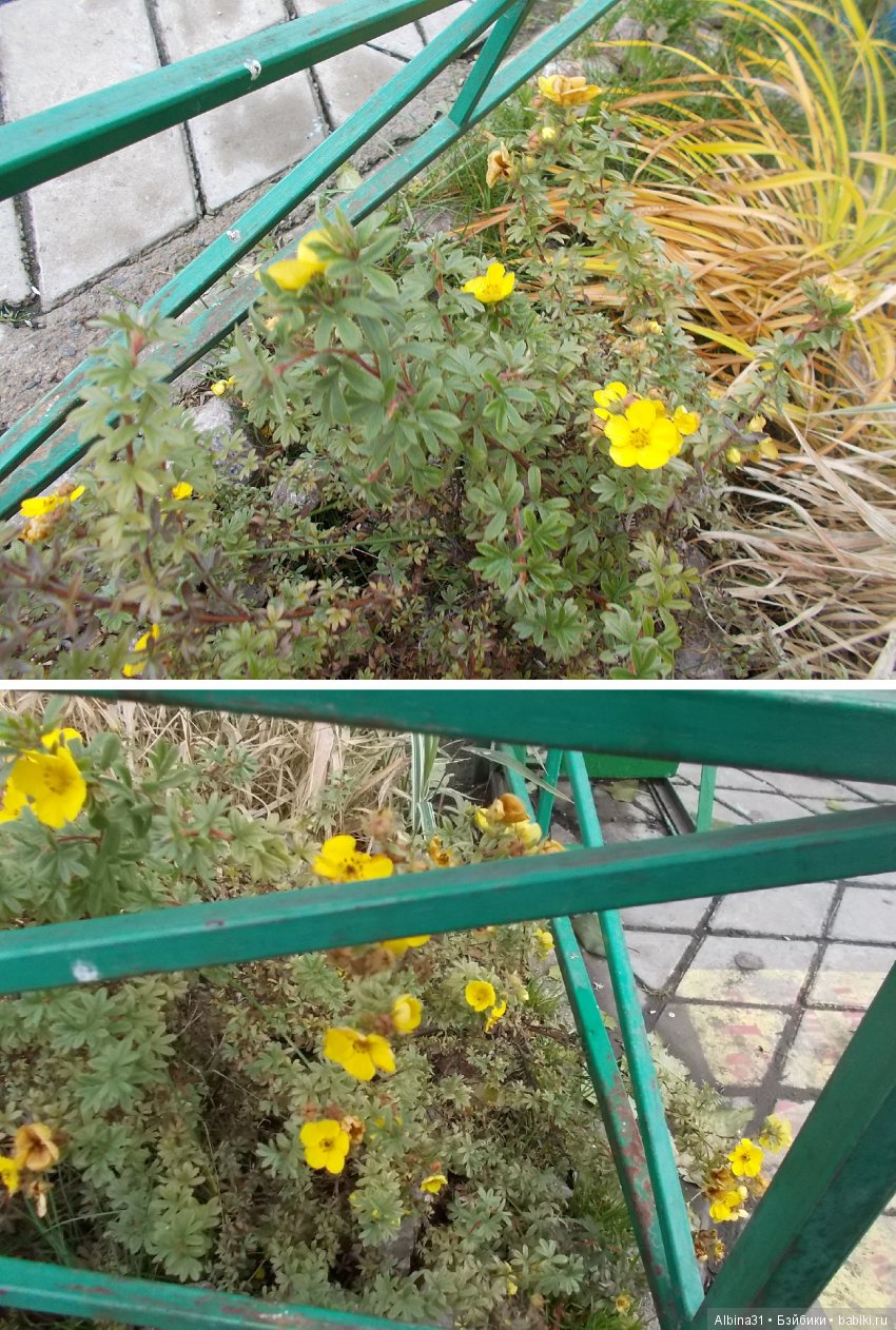 Городские зарисовки. Октябрь (продолжение)