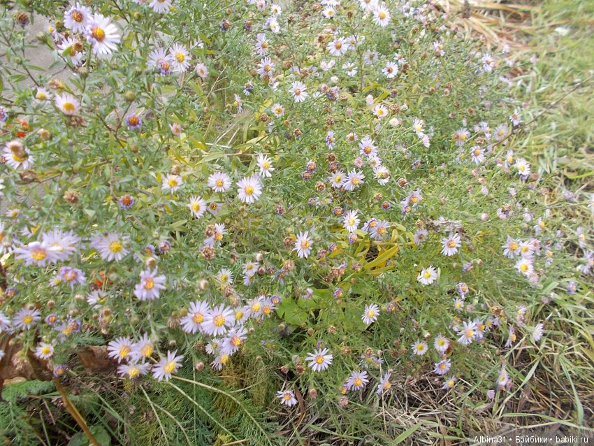 Городские зарисовки. Октябрь (продолжение)