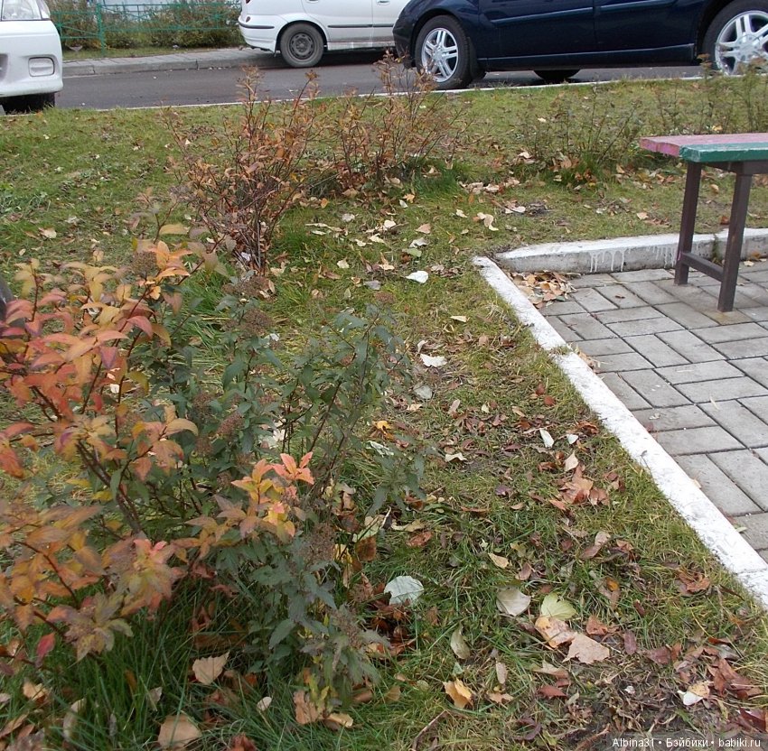 Городские зарисовки. Октябрь (продолжение)