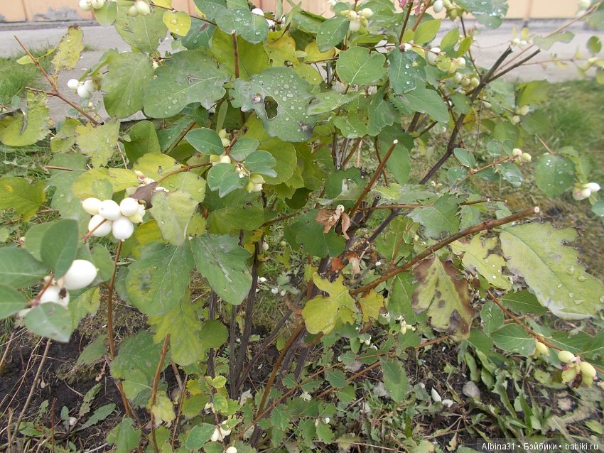 Городские зарисовки. Октябрь (продолжение)