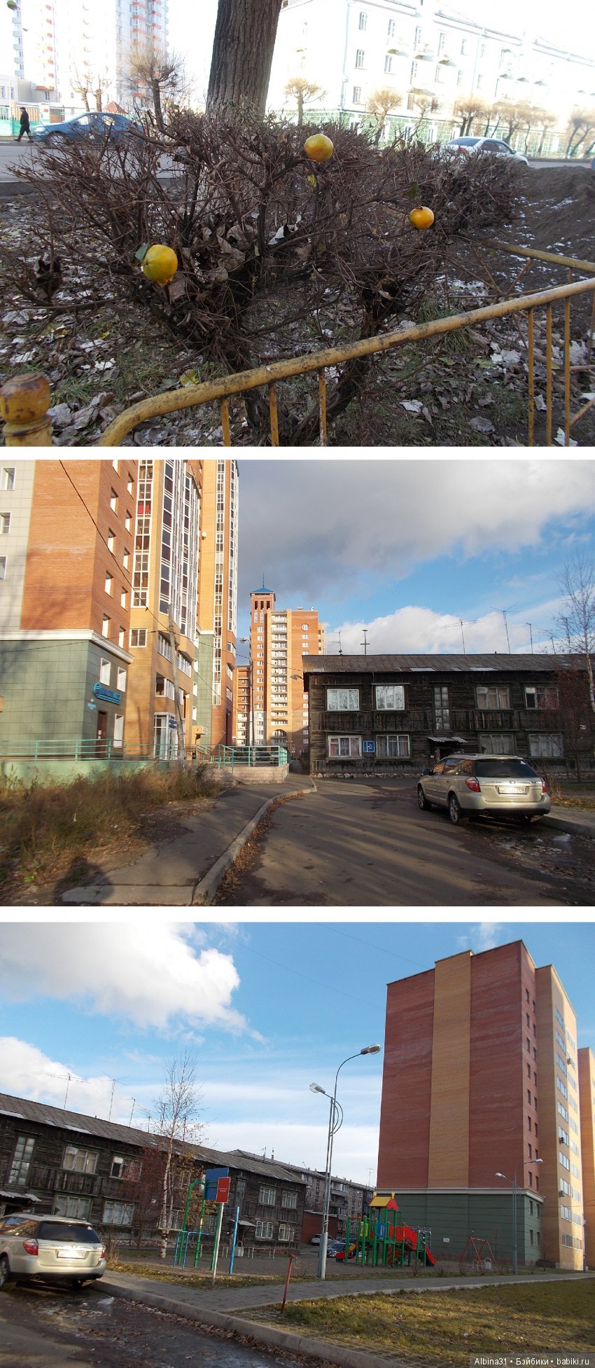 Городские зарисовки. Октябрь. Окончание