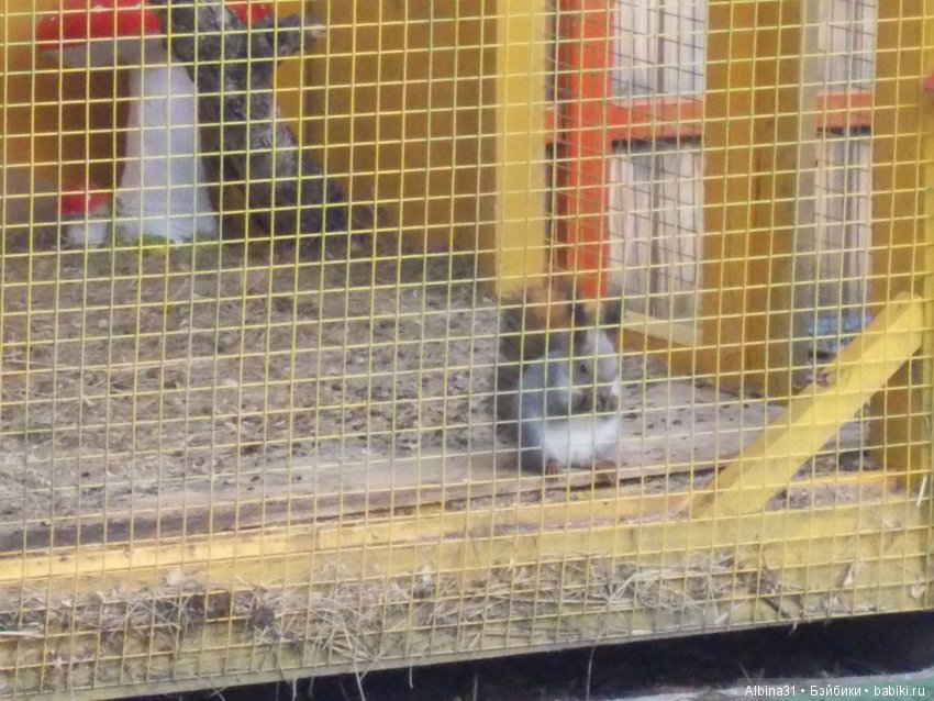 Городские зарисовки. Парк. октябрь (фото 9)