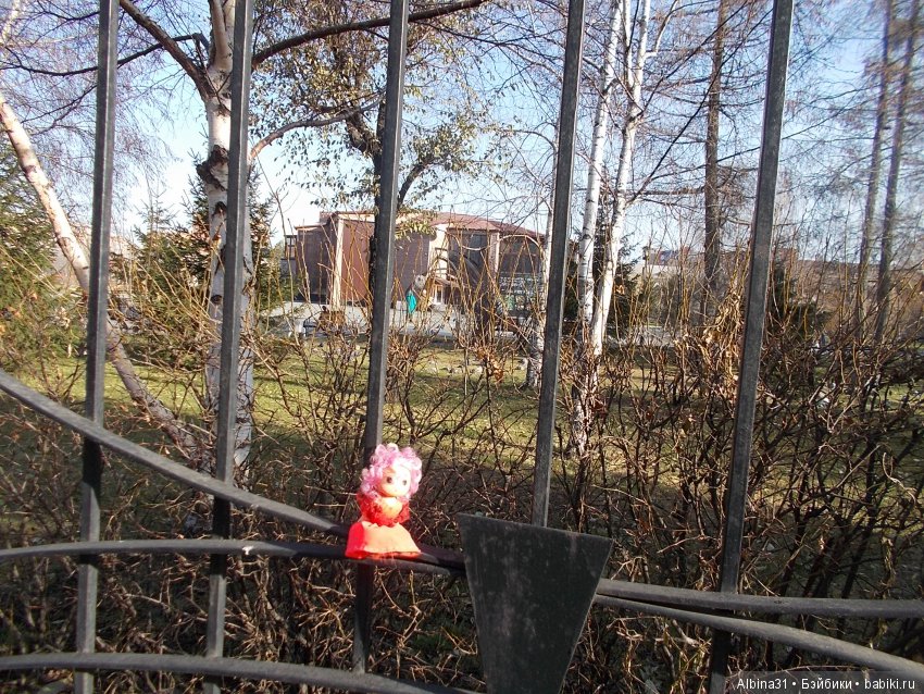 Городские зарисовки. Парк. октябрь (фото 5)