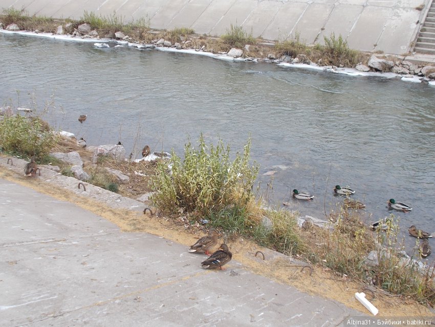Городские зарисовки. Ноябрь