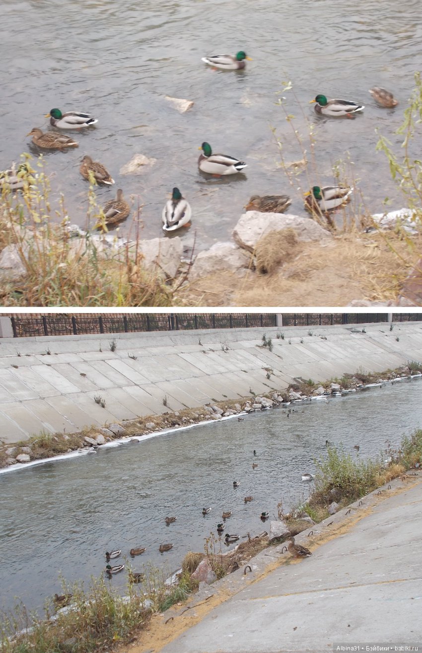 Городские зарисовки. Ноябрь