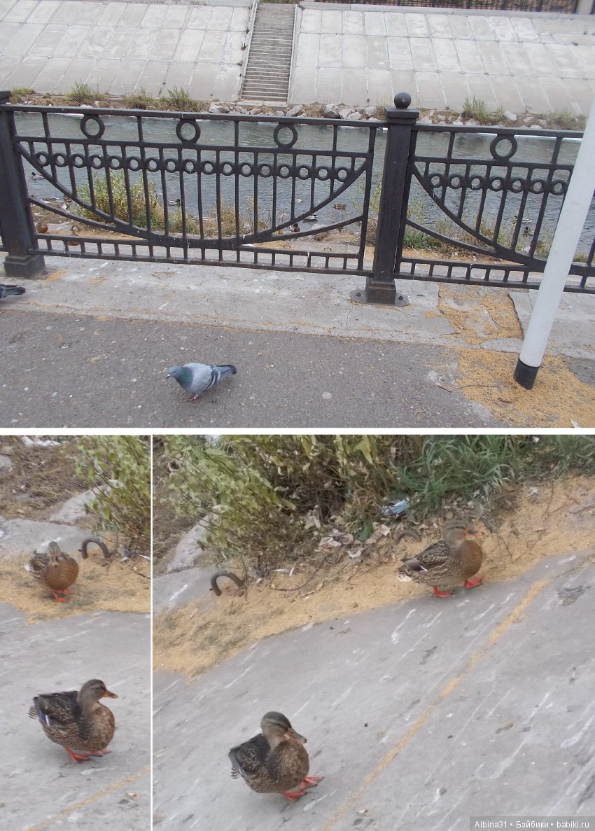 Городские зарисовки. Ноябрь