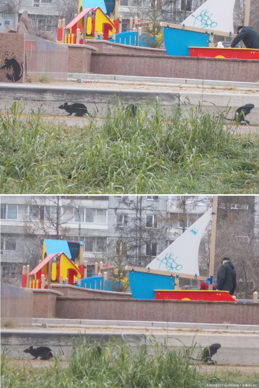 Городские зарисовки. Ноябрь