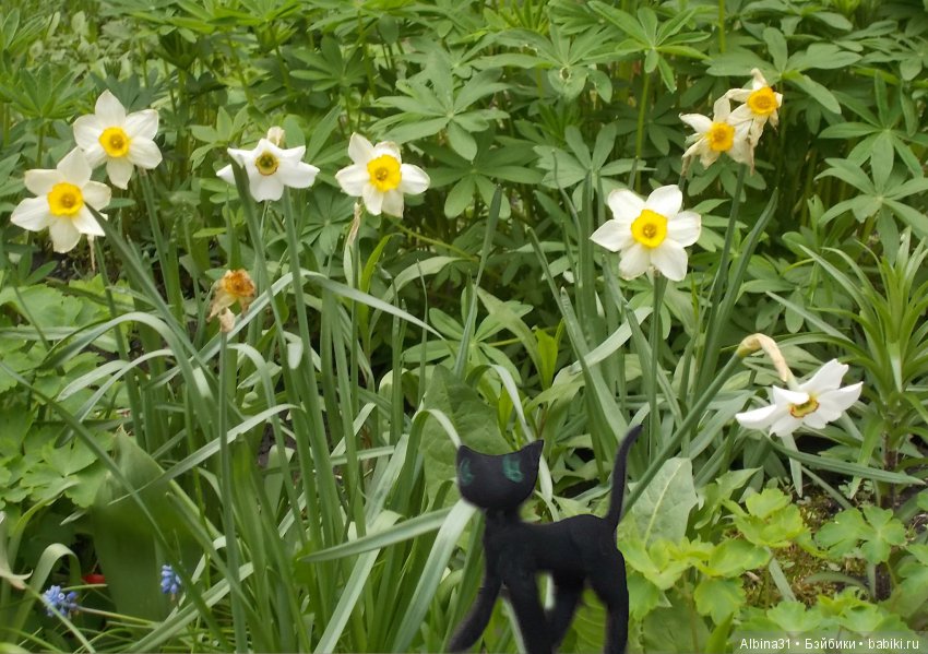 Попробуем рассказать сказку... Вот и всё что было (фото 5)