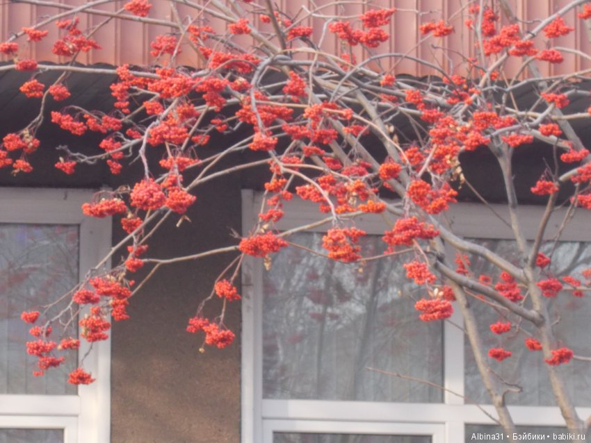 Городские зарисовки. Ноябрь