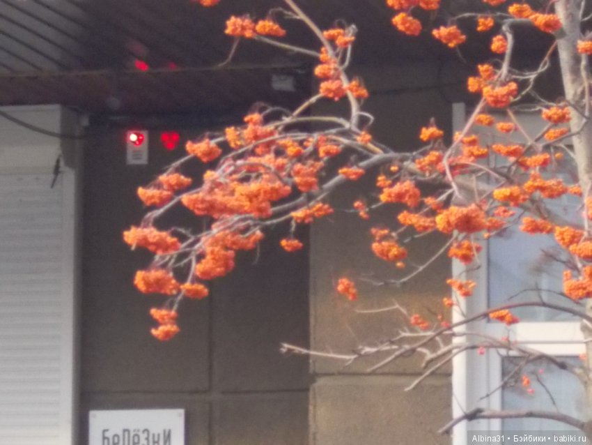 Городские зарисовки. Ноябрь