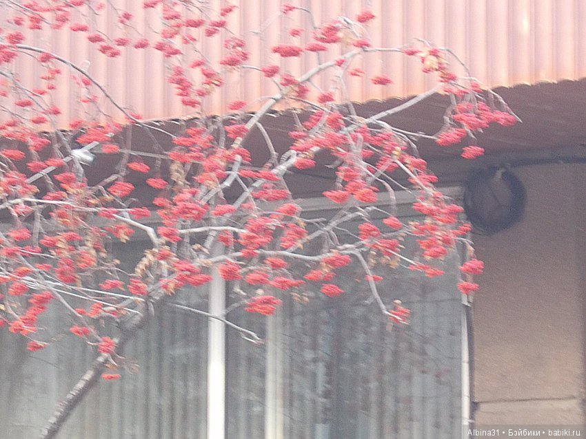 Городские зарисовки. Ноябрь