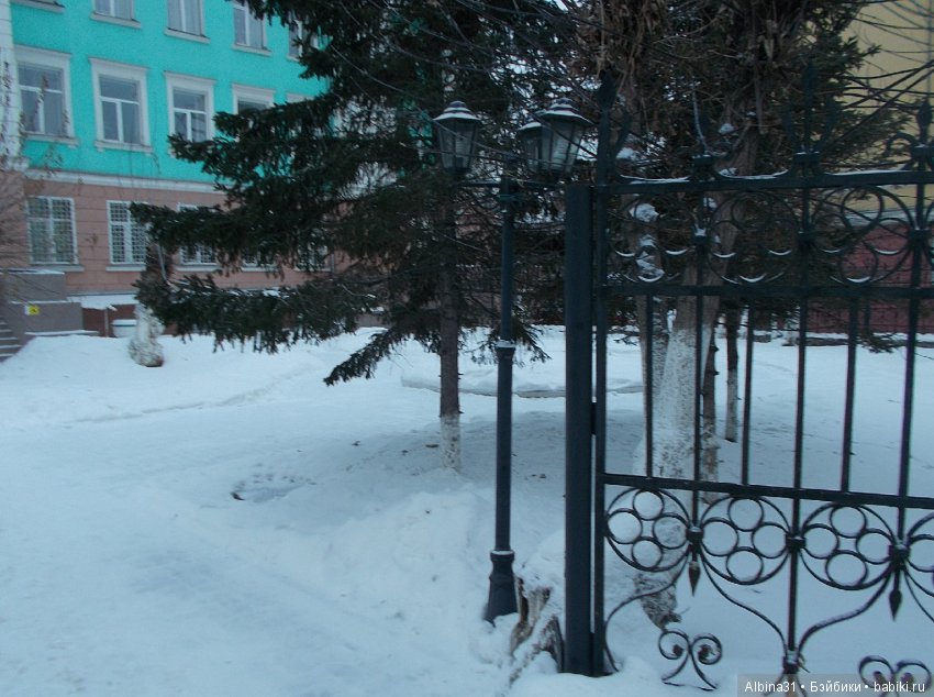 Городские зарисовки. Декабрь (фото 4)