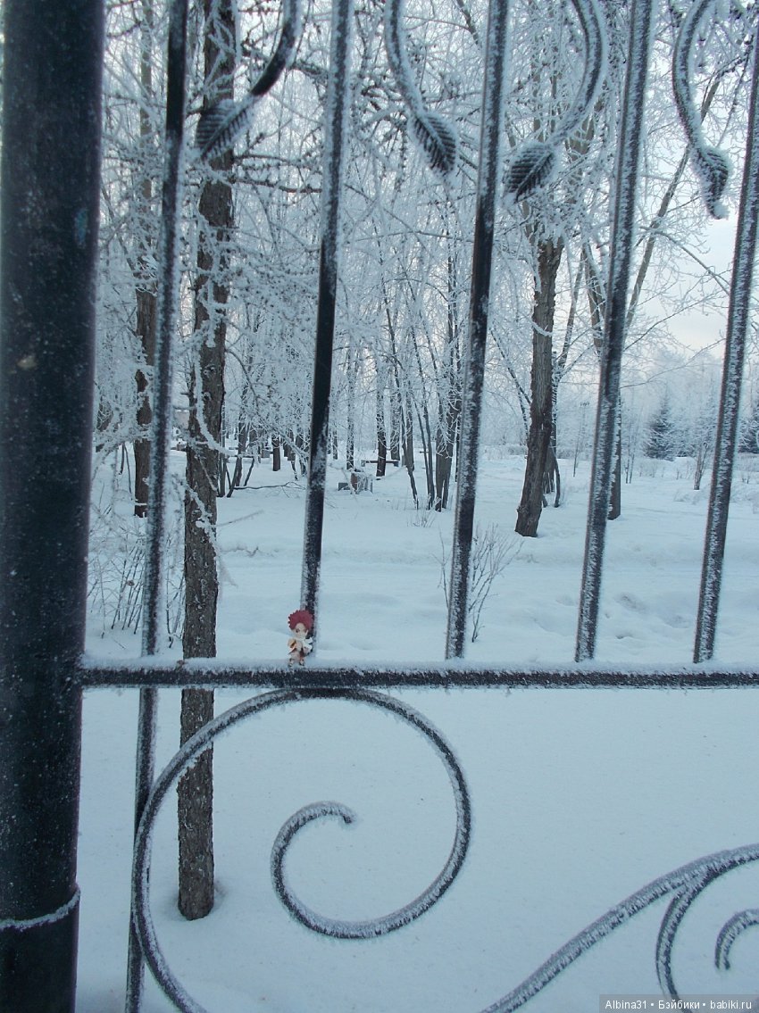 Городские зарисовки... Ёлка и парк имени 1 мая