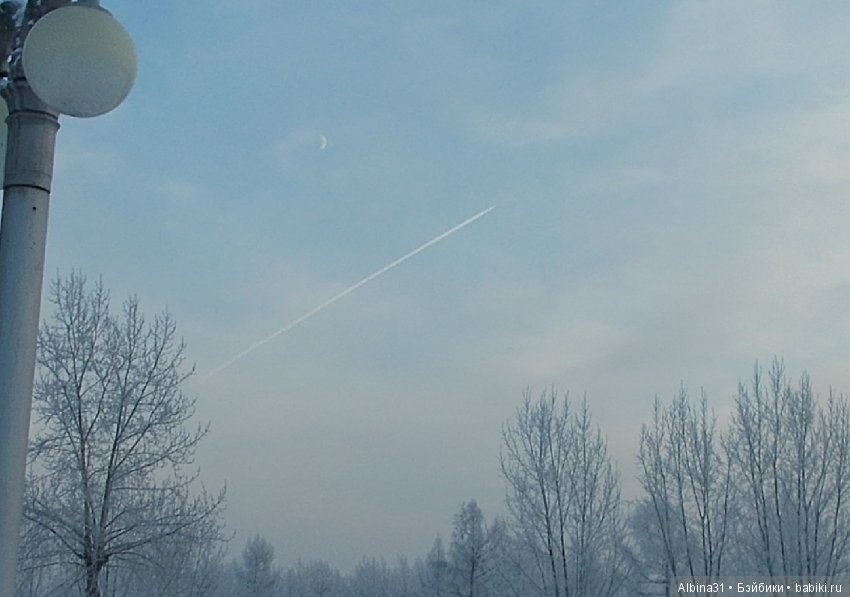 Городские зарисовки... Ёлка и парк имени 1 мая
