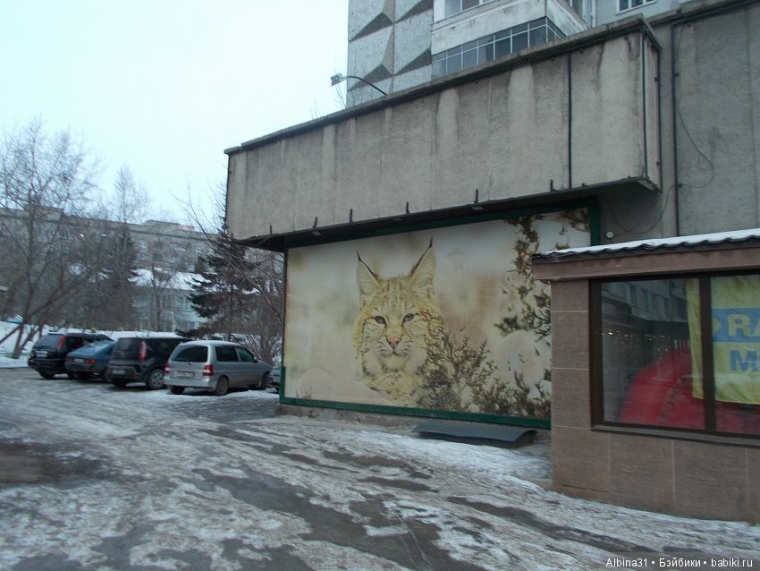 Городские зарисовки. Декабрь