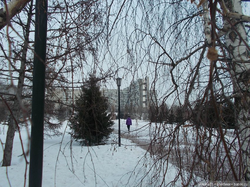 Городские зарисовки. Декабрь (фото 8)