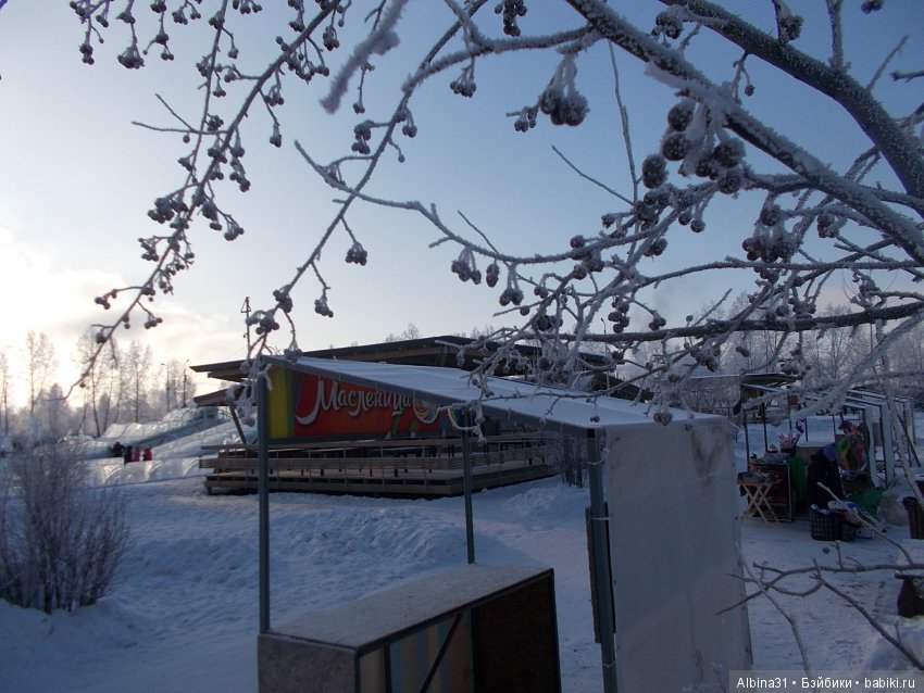 Городские зарисовки. Городская ёлка