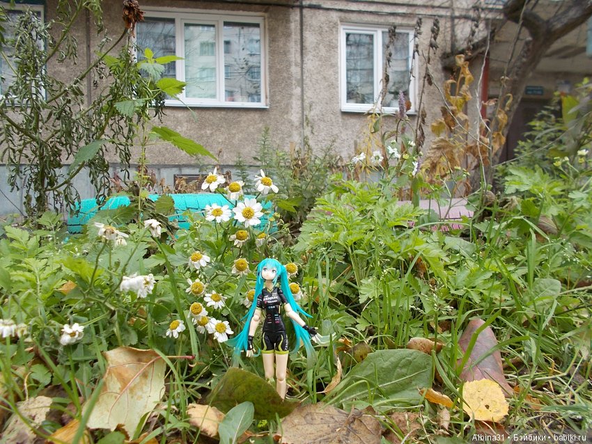 И снова Мику — Болталка и разговоры обо всем: жизнь