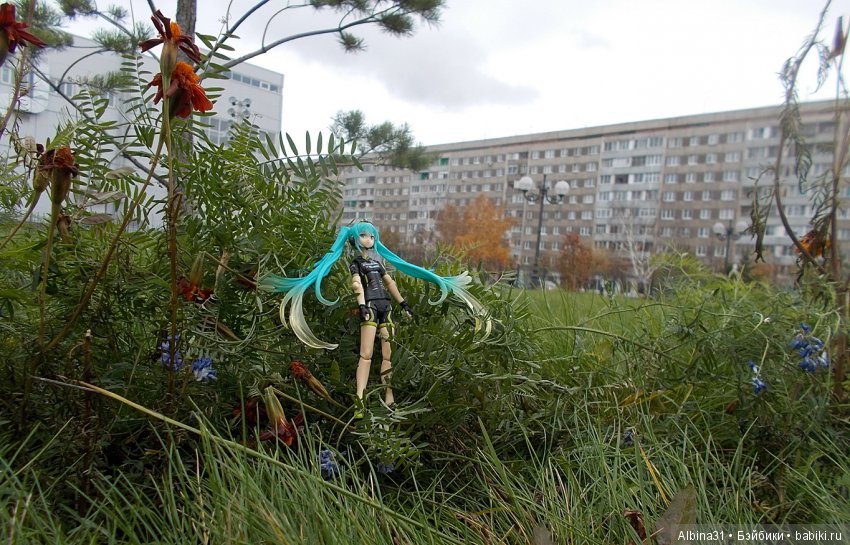 И снова Мику — Болталка и разговоры обо всем: жизнь (фото 8)