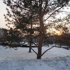 Было было, было, но прошло