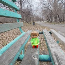 Городские зарисовки...  Собачки