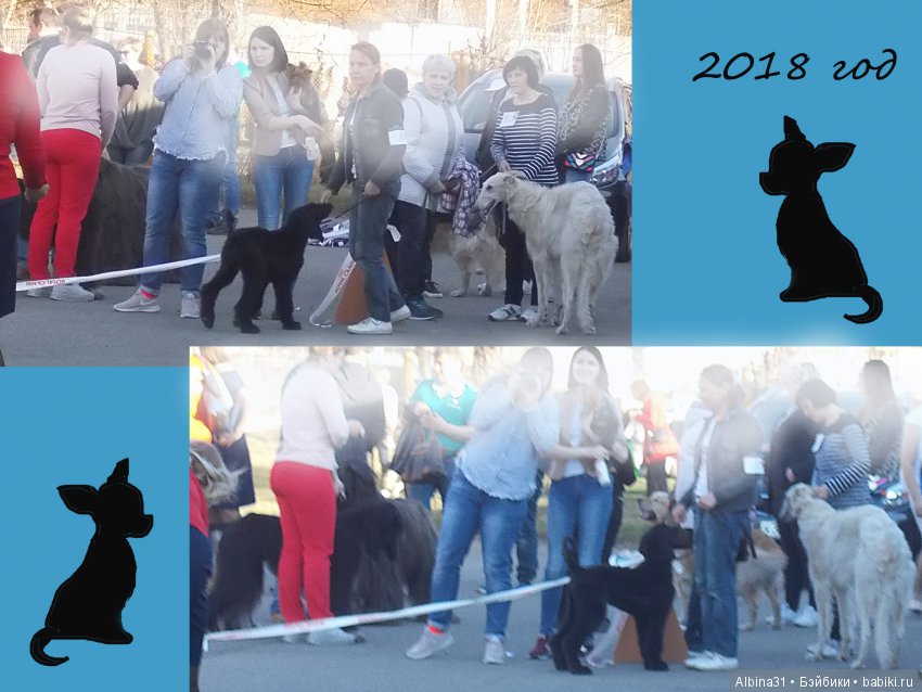 Городские зарисовки... Собачки