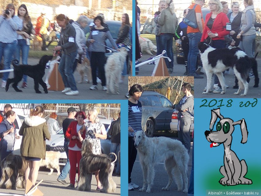 Городские зарисовки... Собачки